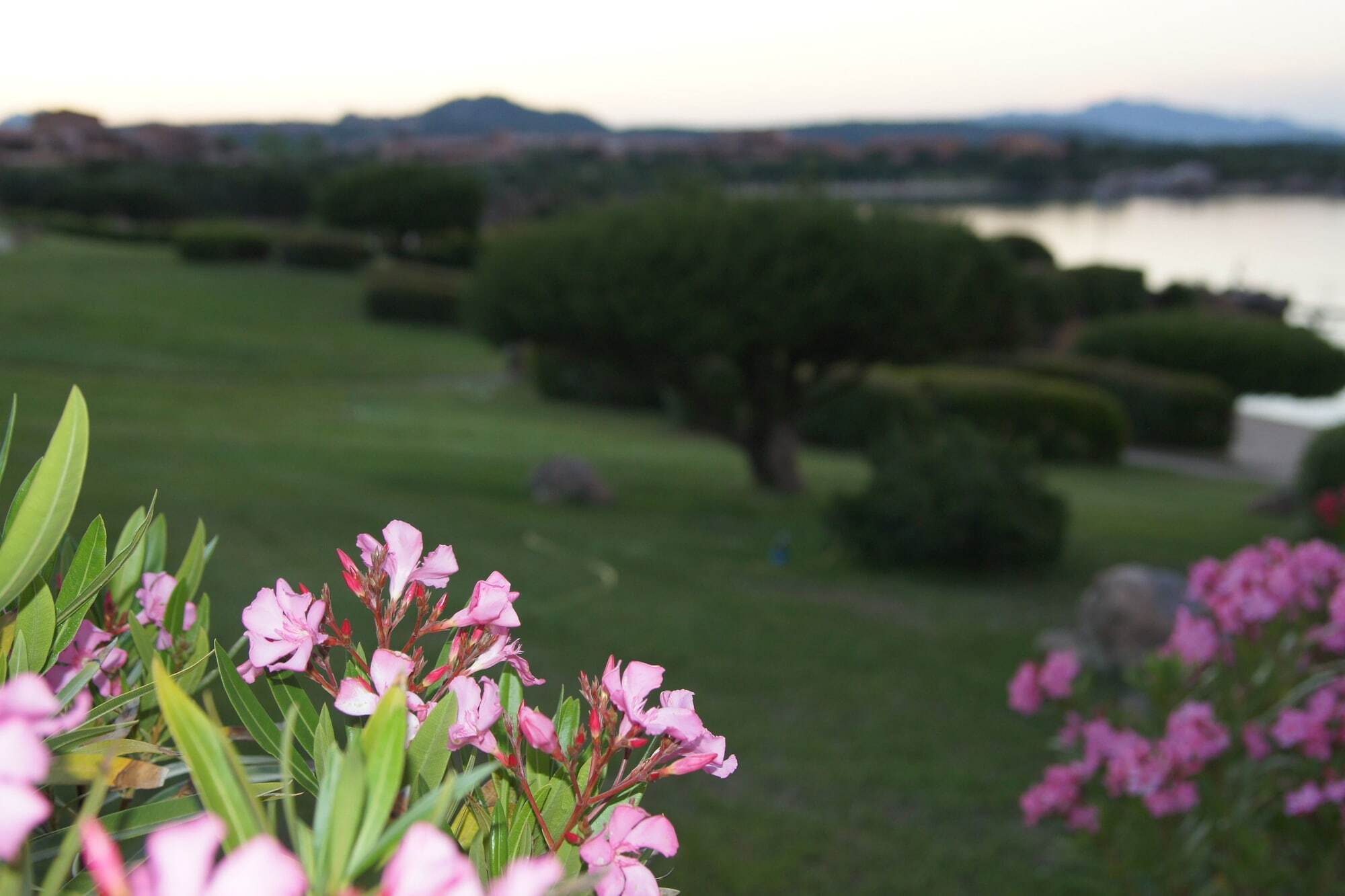 Residence Marineledda & Vela Blu Golfo Aranci Εξωτερικό φωτογραφία